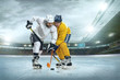 © Andrii IURLOV - Ice hockey player on the ice. Open stadium - Winter Classic game