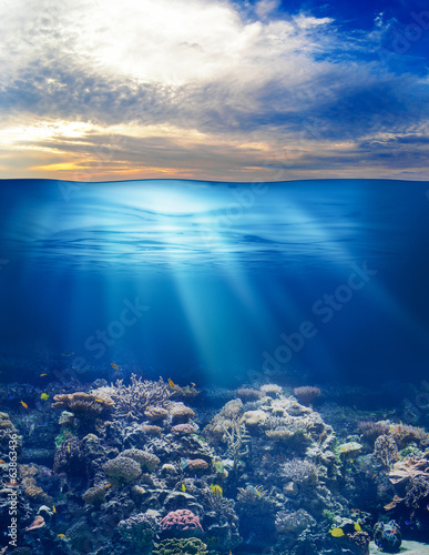 Obraz Dibond morze lub ocean podwodne życie z zachodem słońca niebo