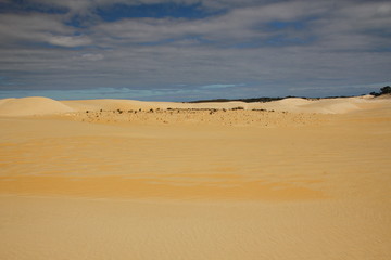 Canvas Print - A desert far away