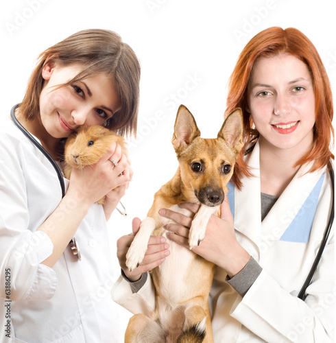 vets and pets