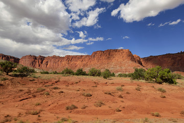 Wall Mural - capitol Reef