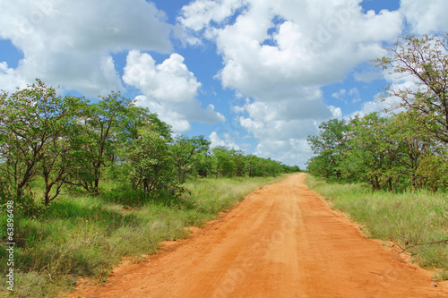 Naklejka samoprzylepna Afrykańska droga w sawannie, republika południowej afryki, park narodowy kruger