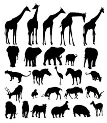 Wall Mural - African Animal Set -Vector