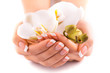 © Dmytro Titov - beautiful french manicure with white orchid on white