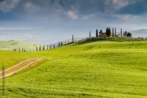 Board z aluminiowym obramowaniem Wzgórze i cyprys w crete senesi Toskania