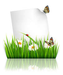 Aufkleber - Nature background with grass and a paper. Vector.