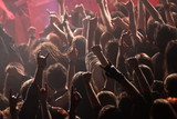 Fototapeta  - Crowd rocking on the concert