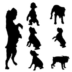 Wall Mural - Vector silhouette of a dog.