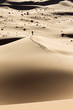 Man walking on dunes in desert