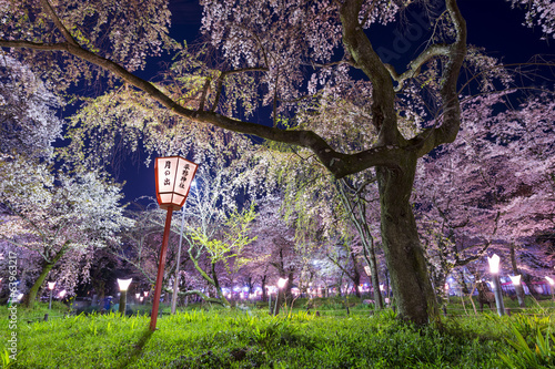 Fotoboard na płycie Świątynia hirano, Kioto w japonii