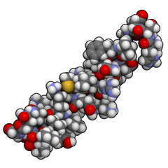 Canvas Print - vasoactive intestinal peptide, chemical structure