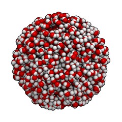 Poster - Water. Model of the molecular composition of liquid water