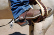 Boot and Spur in Stirrup