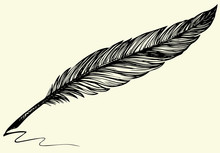 Vector Freehand Drawing Of Dark Bird Feather