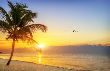 Sunset on the beach