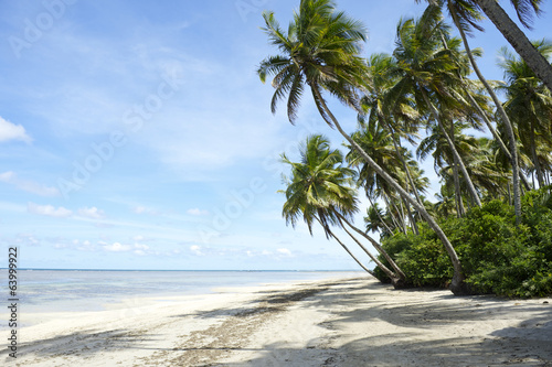 Board z aluminiowym obramowaniem Palmy tropikalna plaża brazylijska