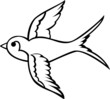 Swallow bird tattoo