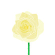 Yellow rose vector