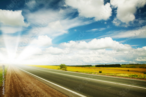Fotografia  Road through the yellow sunflower field