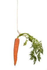 Wall Mural - stacked fresh carrots on white background, vegetables
