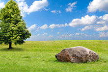 Big Stone And Tree On A Green Grass Hill