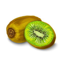 Sticker - Kiwi isolated poster or emblem