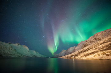 northern lights, ersfjordbotn, tromso, norway