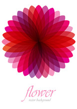 Vector Background With Pink Transparent Flower