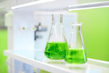 flasks with green liquid in a chemistry lab