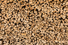 Large Beech Wood Pile