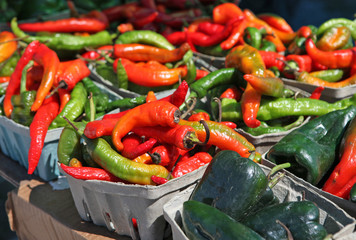 Wall Mural - red and green peppers