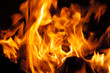 © Valmond - Burning logs