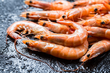 Freshly caught shrimp on black rock