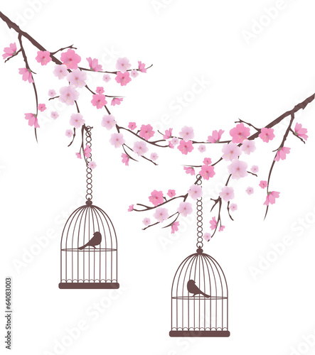 Naklejka na drzwi vector cherry blossom with birds in cages