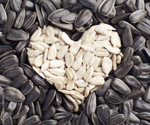 Naklejka na szybę Background with sunflower seeds