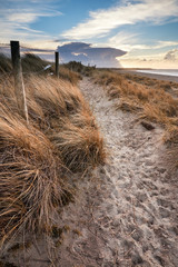 Canvas Print - Blue sky late Summer beach sunset landscape