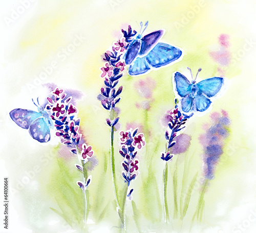 namalowane-letnie-fioletowe-kwiaty-lawendy-i-niebieskie-motyle-akwarela