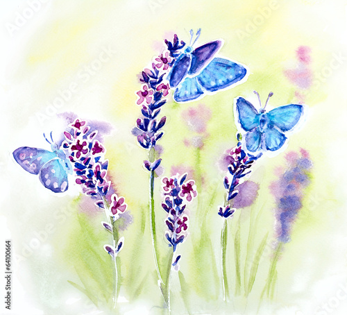 Naklejka na szybę Painted watercolor with summer lavender flowers and butterflies