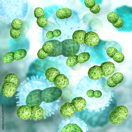 Enterokokken 3d Render StockIllustration Adobe Stock