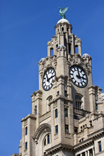 Royal Liver Building In Liverpool