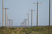 Utility Poles Standing In The Desert