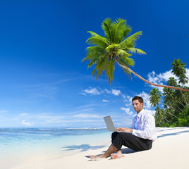 Wall Mural - Businessman working on a laptop