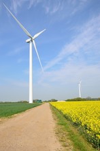 Wind Farm Turbines In Field