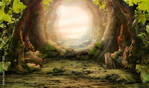 Naklejki Fantasy  romantyczny-widok-na-las