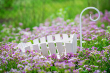 Decorative Wheelbarrow In The Spring Flowers Meadow