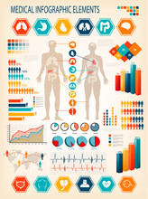 Medical Infographics Elements. Human Body With Internal Organs.