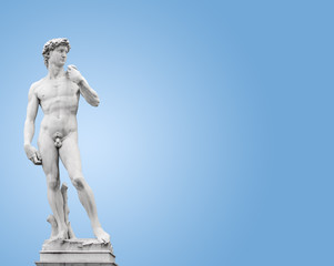 Canvas Print - Michelangelo's David