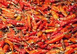Fototapeta Miasto - Dried red pepper