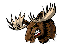 Angry Moose Head