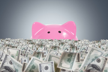 Dollar Farm with Pink Piggy Bank